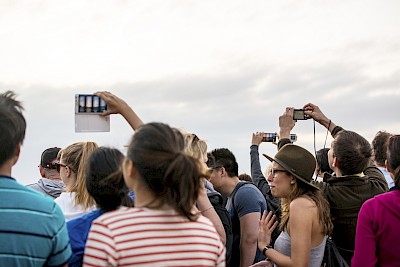Key West, USA  - January 8, 2015: People in crowd photographing sunset on Key West using mobile devices, smart phones and digital tablets.